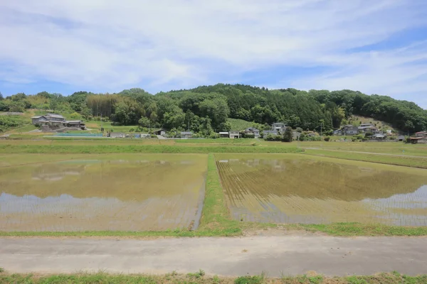 Ülke tarafında tramvay pencereden görüntüleme