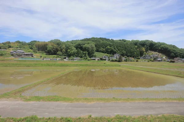 Ülke tarafında tramvay pencereden görüntüleme