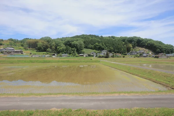 Ülke tarafında tramvay pencereden görüntüleme