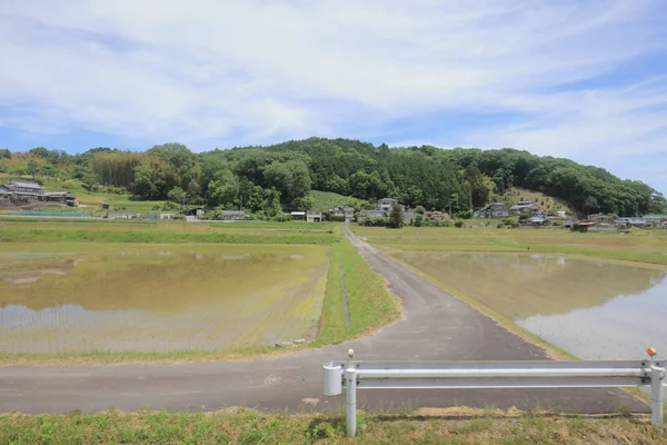 Ülke tarafında tramvay pencereden görüntüleme