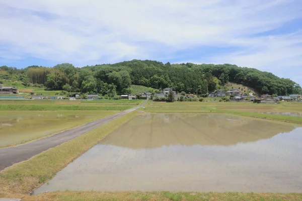 Ülke tarafında tramvay pencereden görüntüleme