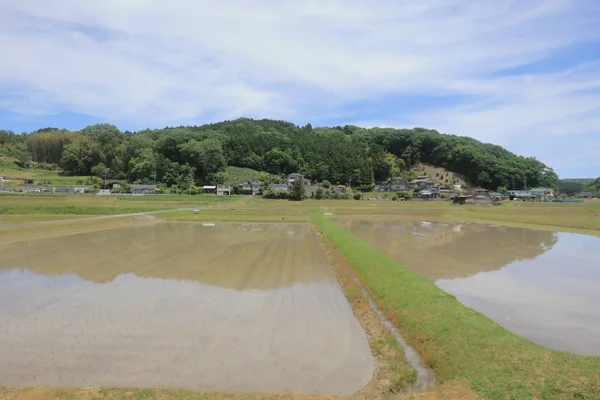 Ülke tarafında tramvay pencereden görüntüleme