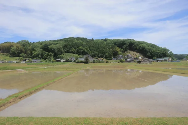 Ülke tarafında tramvay pencereden görüntüleme