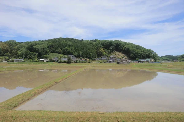 Ülke tarafında tramvay pencereden görüntüleme