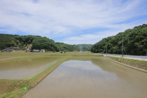 Ülke tarafında tramvay pencereden görüntüleme