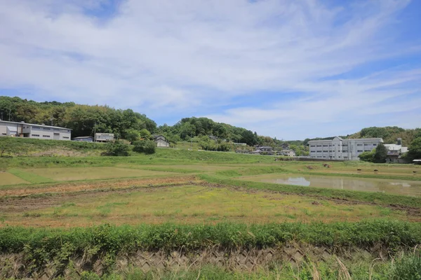Ülke tarafında tramvay pencereden görüntüleme