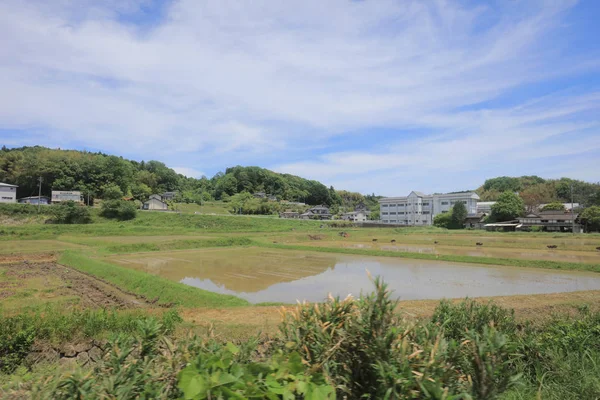 Ülke tarafında tramvay pencereden görüntüleme