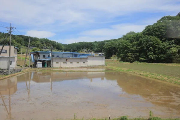 Ülke tarafında tramvay pencereden görüntüleme