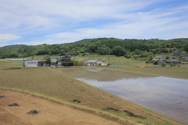 Ülke tarafında tramvay pencereden görüntüleme