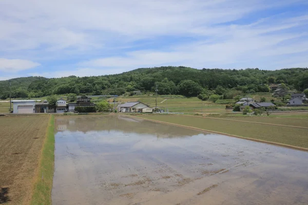 Ülke tarafında tramvay pencereden görüntüleme
