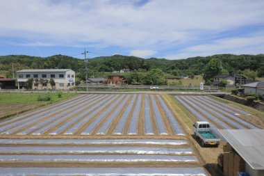 Ülke tarafında tramvay pencereden görüntüleme