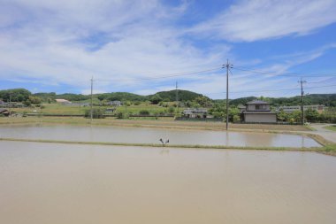 Ülke tarafında tramvay pencereden görüntüleme