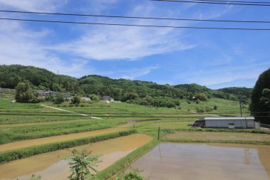 Ülke tarafında tramvay pencereden görüntüleme