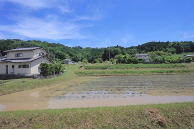 Ülke tarafında tramvay pencereden görüntüleme