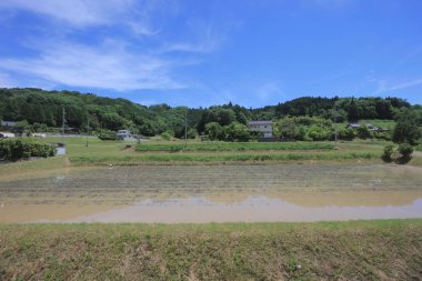 Ülke tarafında tramvay pencereden görüntüleme