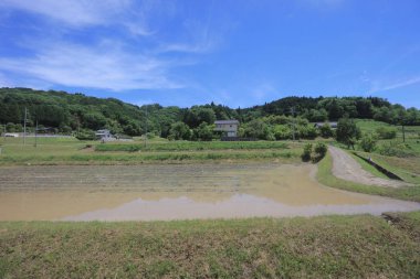 Ülke tarafında tramvay pencereden görüntüleme