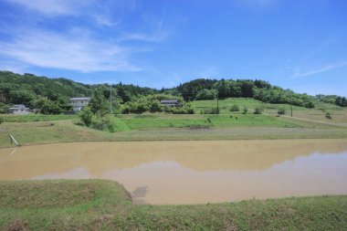 Ülke tarafında tramvay pencereden görüntüleme