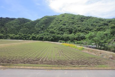 Ülke tarafında tramvay pencereden görüntüleme