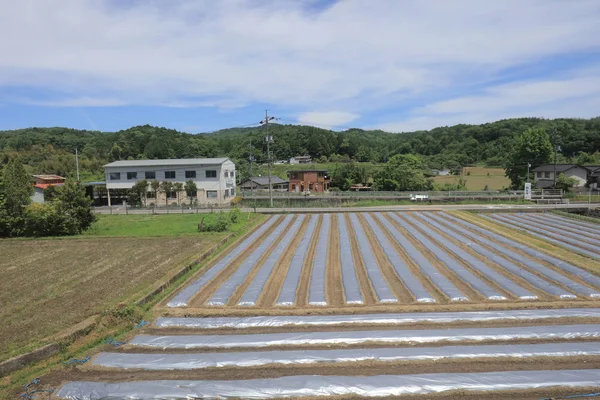 Ülke tarafında tramvay pencereden görüntüleme