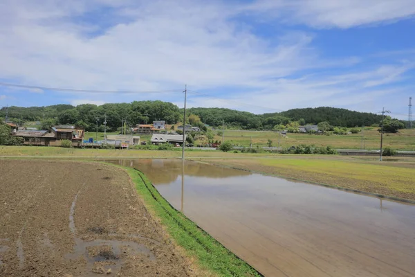 Ülke tarafında tramvay pencereden görüntüleme