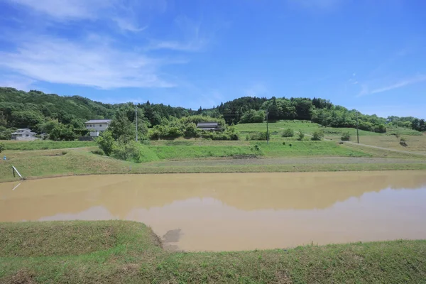 Ülke tarafında tramvay pencereden görüntüleme