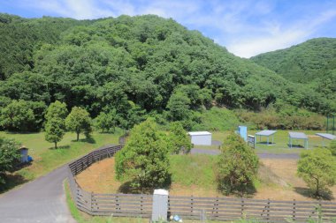 Ülke tarafında tramvay pencereden görüntüleme