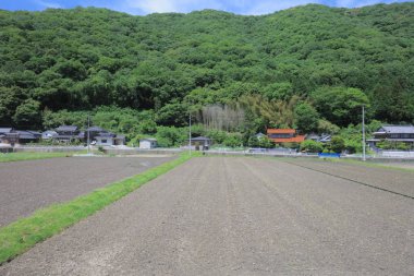 Ülke tarafında tramvay pencereden görüntüleme