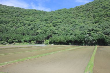 Ülke tarafında tramvay pencereden görüntüleme