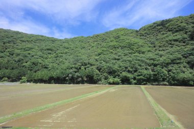 Ülke tarafında tramvay pencereden görüntüleme