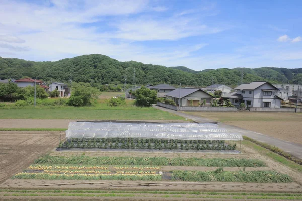 Ülke tarafında tramvay pencereden görüntüleme