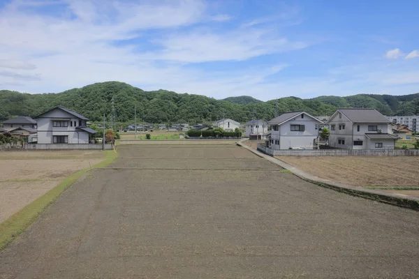 Ülke tarafında tramvay pencereden görüntüleme