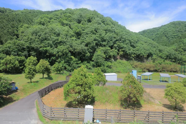 Ülke tarafında tramvay pencereden görüntüleme