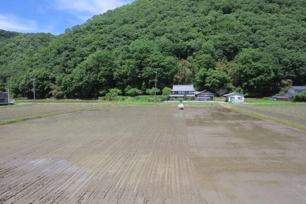 Ülke tarafında tramvay pencereden görüntüleme
