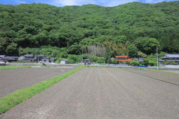 Ülke tarafında tramvay pencereden görüntüleme