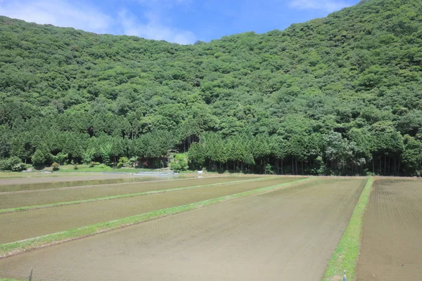 Ülke tarafında tramvay pencereden görüntüleme