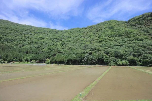Ülke tarafında tramvay pencereden görüntüleme