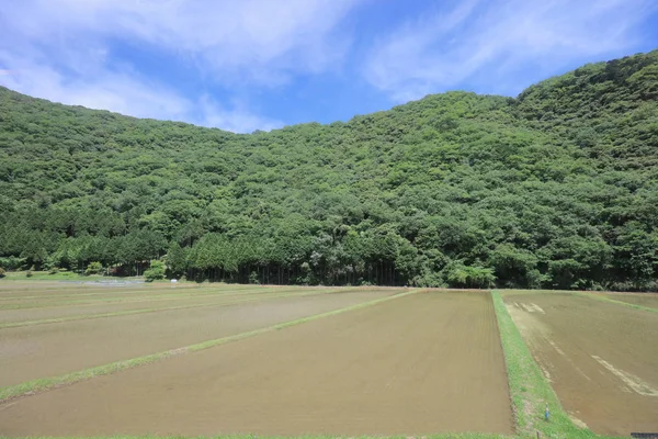 Ülke tarafında tramvay pencereden görüntüleme