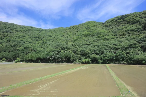 Ülke tarafında tramvay pencereden görüntüleme