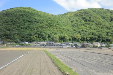 Ülke tarafında tramvay pencereden görüntüleme