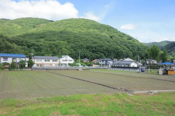 Ülke tarafında tramvay pencereden görüntüleme