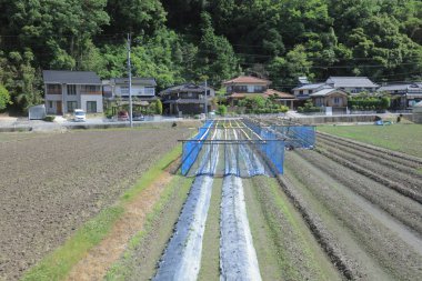 Ülke tarafında tramvay pencereden görüntüleme