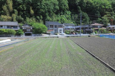 Ülke tarafında tramvay pencereden görüntüleme