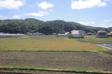 Ülke tarafında tramvay pencereden görüntüleme