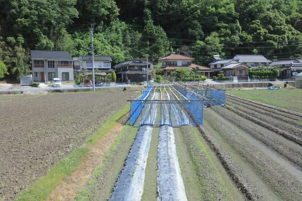 Ülke tarafında tramvay pencereden görüntüleme