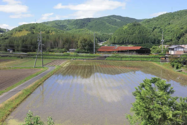 Ülke tarafında tramvay pencereden görüntüleme