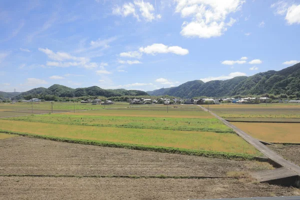 カントリー サイドの路面電車の窓から見る — ストック写真