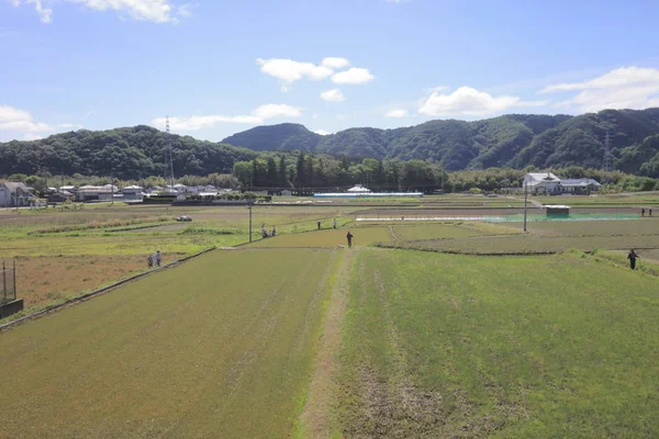Ülke tarafında tramvay pencereden görüntüleme