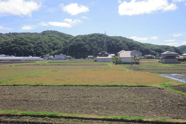 Ülke tarafında tramvay pencereden görüntüleme
