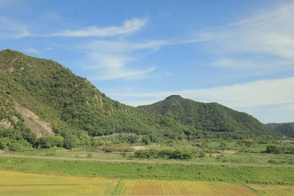 bir görünümü ile ülke tarafında tramvay penceresi