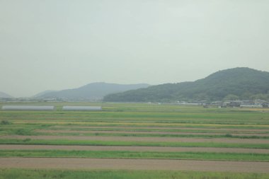 Japonya tramvay pencereden görüntüleme